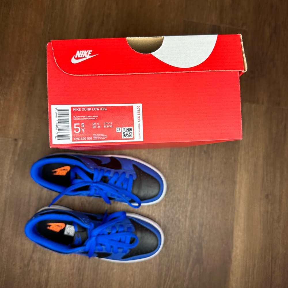 Cobalt Nike Dunk Low Retro - Picture 6 of 8
